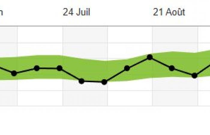 J’ai utilisé l’application Decathlon pendant cinq mois pour courir un semi-marathon