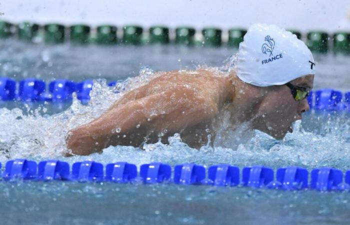 la Fédération de Natation prépare la succession de l’équipe de France en vue des JO 2028