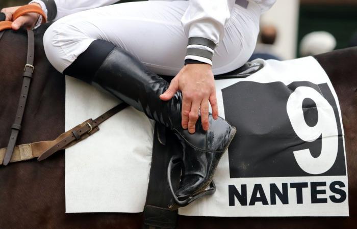 tout sur le meeting du Grand Prix de Nantes Défi du Galop