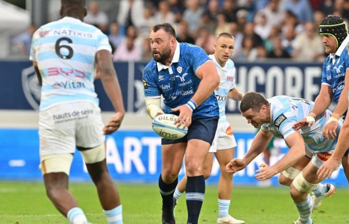 Will Collier, la perle de Castres