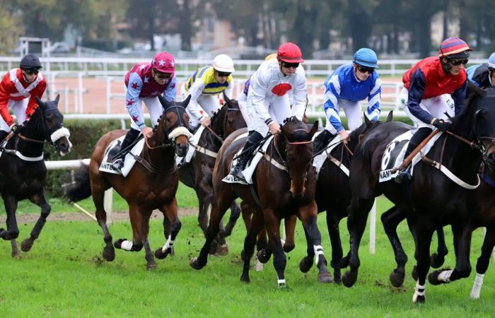 tout sur le meeting du Grand Prix de Nantes Défi du Galop