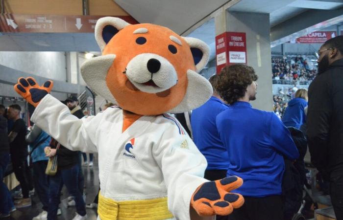 Le Colisée aux couleurs des Championnats de France de Judo… une réussite évidente ! – info-chalon.com