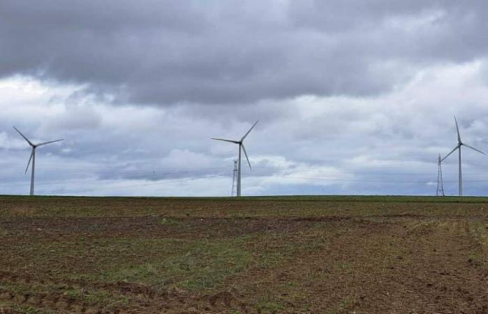 Plateau Picard. Les projets éoliens se multiplient, les avis négatifs aussi