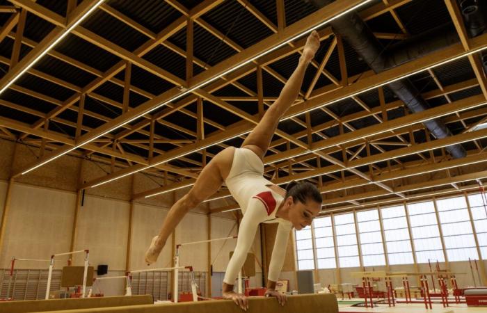 Qui est Ludivine Furnon, qui donne son nom à la Halle des Sports de Nîmes ?