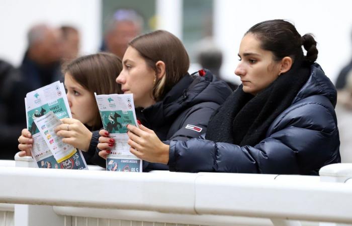 tout sur le meeting du Grand Prix de Nantes Défi du Galop