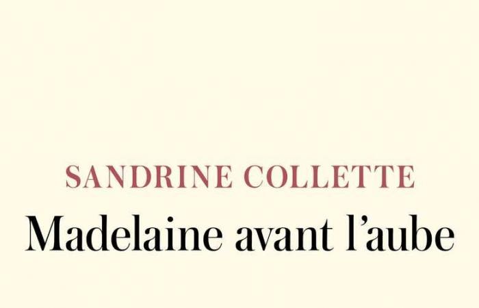 Chronique littéraire de Jean-Rémi Barland. Sandrine Collette, en finale du Prix Goncourt 2024, propose avec « Madelaine avant l’aube » une magnifique ode aux liens familiaux