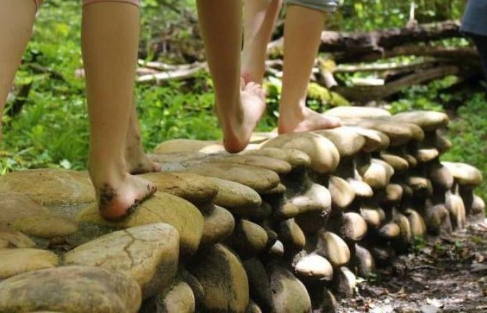 visite insolite, balade pieds nus et chasse au trésor