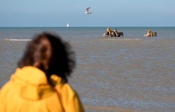 « C’est le dernier endroit au monde où nous faisons cela ! » ” (vidéo)