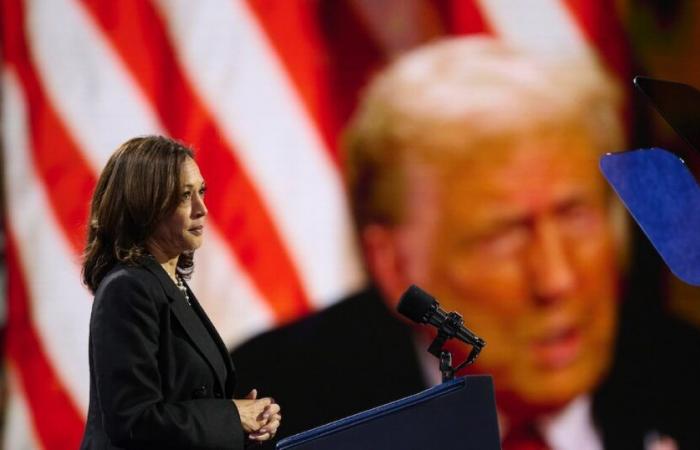 Kamala Harris ou Donald Trump, le poids du vote des expatriés – L’Express