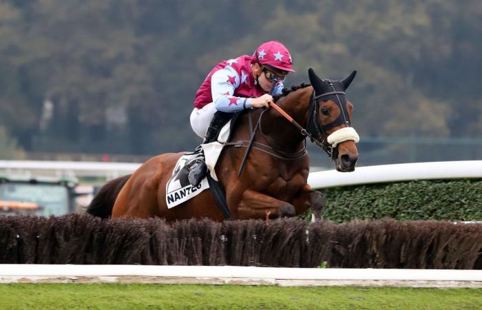 tout sur le meeting du Grand Prix de Nantes Défi du Galop