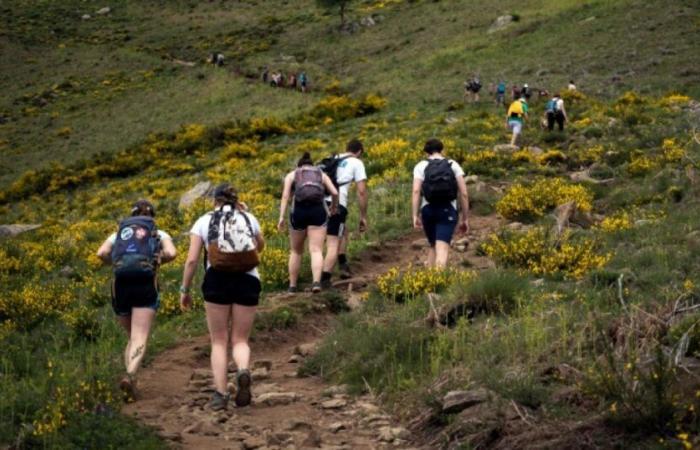 La marche toujours en plein essor, la randonnée séduit de plus en plus de femmes : Actualités