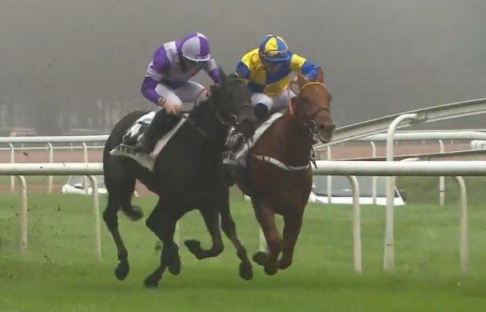 tout sur le meeting du Grand Prix de Nantes Défi du Galop