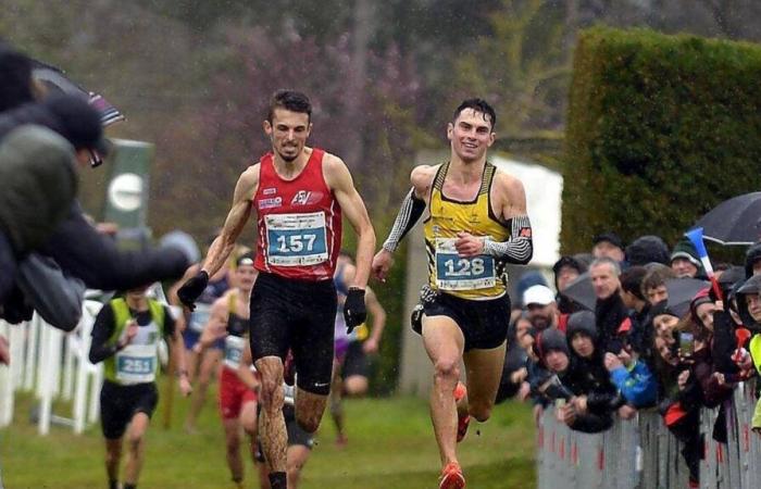 En cours d’exécution. Le calendrier 2025 des courses hors stade en Vendée