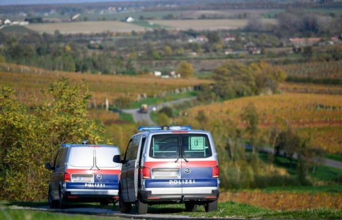 Un homme en fuite, soupçonné de deux meurtres, retrouvé mort