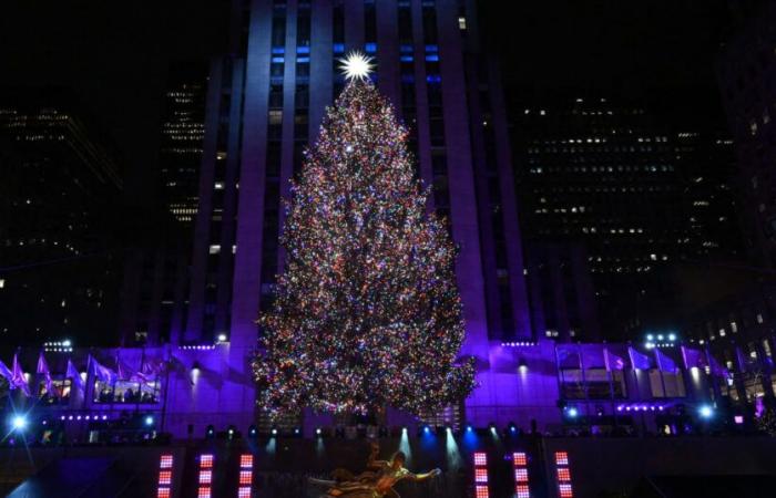 Emplacement à New York, date d’éclairage des arbres et plus encore