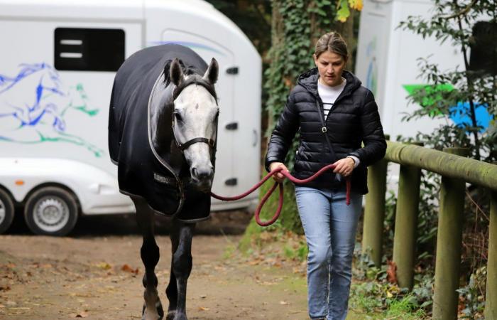 tout sur le meeting du Grand Prix de Nantes Défi du Galop