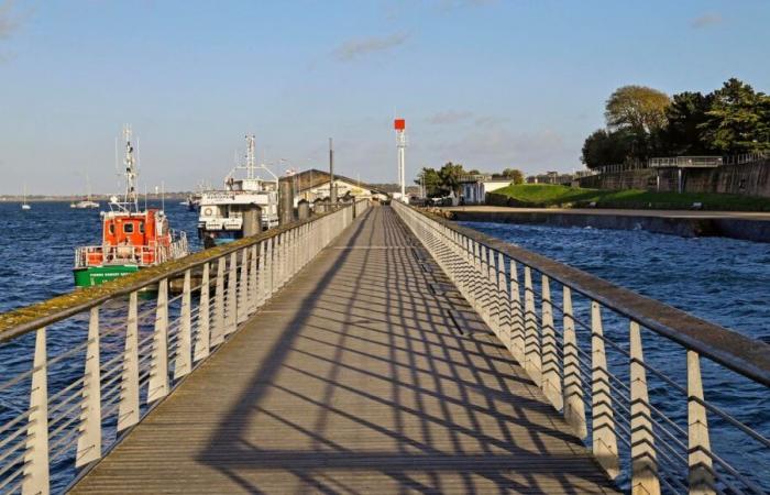 14 ans après, le Marathon de la Côte d’Amour renaît dans la Presqu’île guérandaise