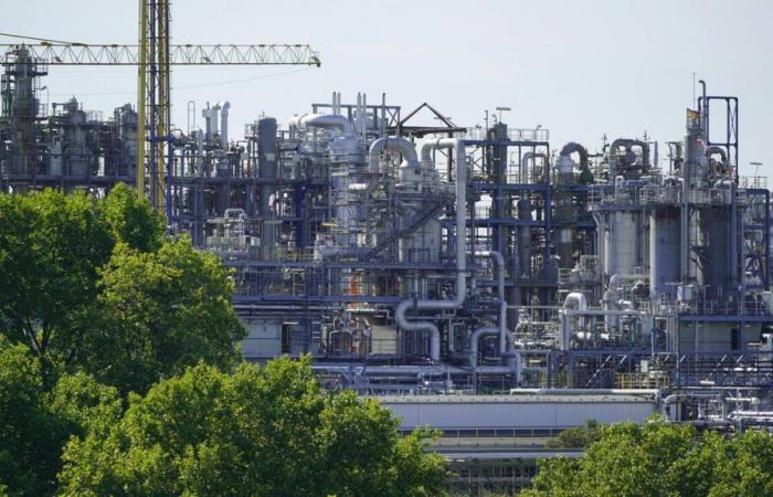 BASF, emblème d’une industrie allemande qui plie mais ne veut pas casser