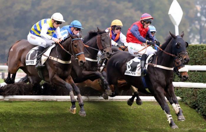 tout sur le meeting du Grand Prix de Nantes Défi du Galop