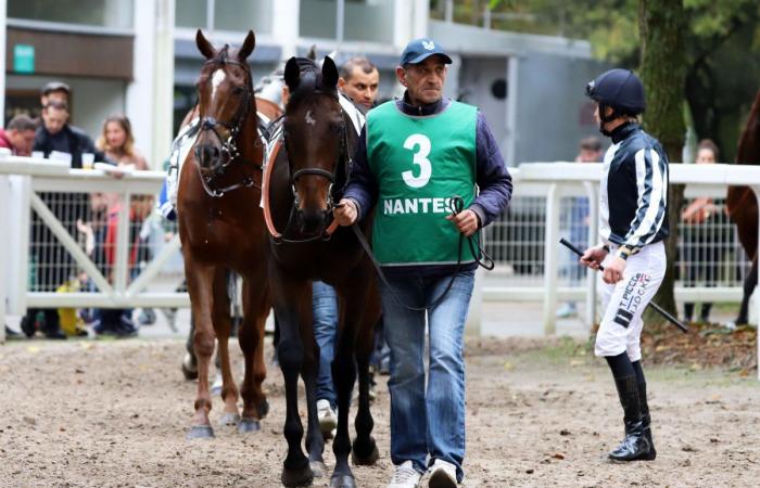 tout sur le meeting du Grand Prix de Nantes Défi du Galop