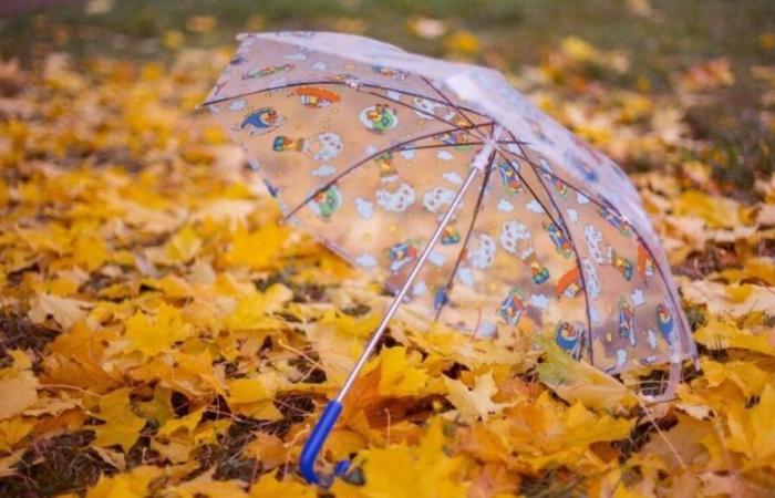 Ciel pluvieux ou ensoleillé, quel temps attendre ce 3 novembre ?