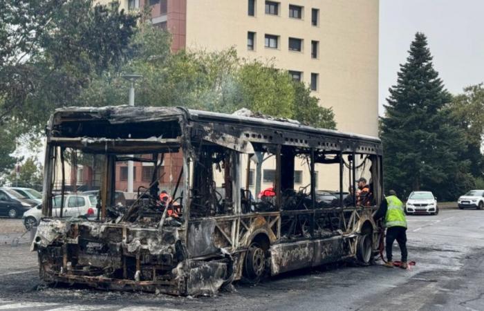 pas de bus dans la région jusqu’à la mi-novembre