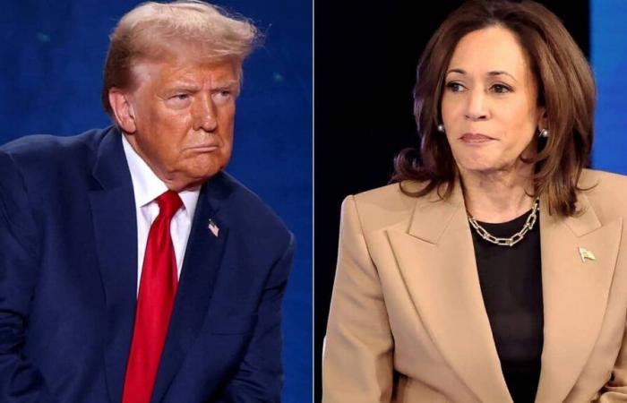 Harris ou Trump, cela se décidera un électeur à la fois