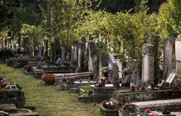 A l’occasion de la Fête des Morts, découvrez les personnages célèbres qui reposent dans le Gard