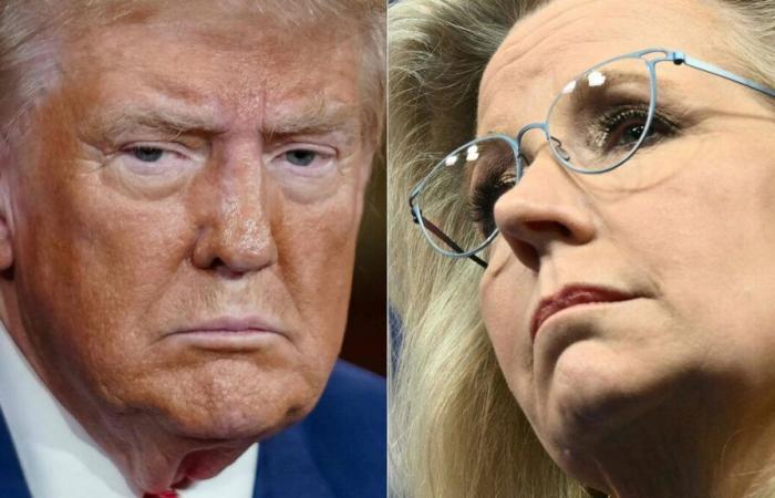 Donald Trump suggère de mettre son adversaire, Liz Cheney, « devant une arme », s’insurge Kamala Harris