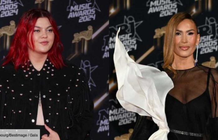 PHOTOS – Louane, Slimane, Vitaa… Retour sur les plus beaux looks des 26e NRJ Music Awards