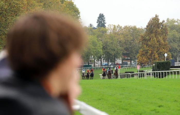 tout sur le meeting du Grand Prix de Nantes Défi du Galop