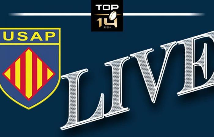 DIRECT. Top 14 : USAP-Vannes, duel de mal classés, un match à suivre en direct à 16h30