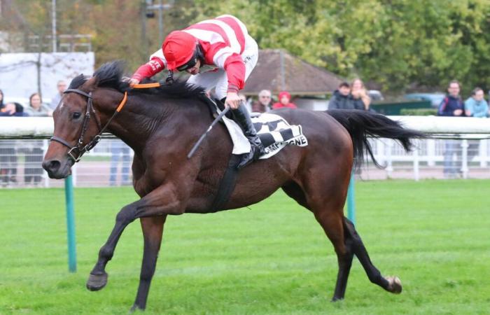 Follow You, la victoire d’un cheval stakhanoviste