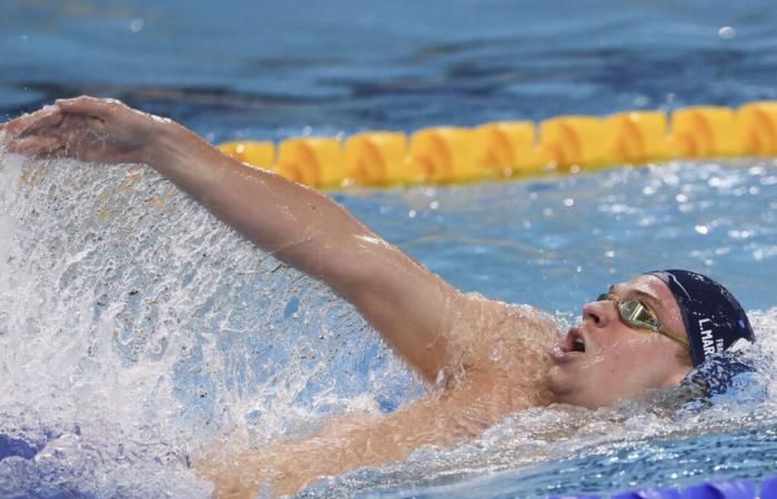 troisième triplé en Coupe du monde de natation pour le prodige toulousain