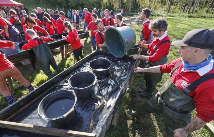 à Saint-Maigrin, un étang vide et du poisson tout frais à saisir