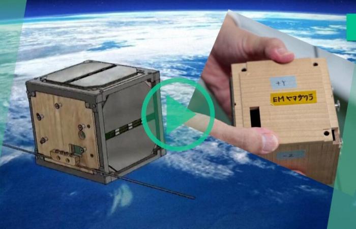 Contre la pollution spatiale, un satellite en bois envoyé dans l’espace par des scientifiques japonais