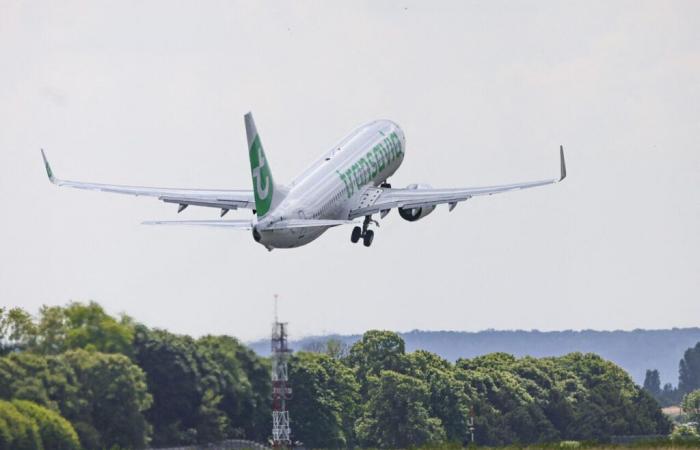 Aéroport de Toulouse. Voici trois nouvelles destinations (ensoleillées) de la Ville Rose