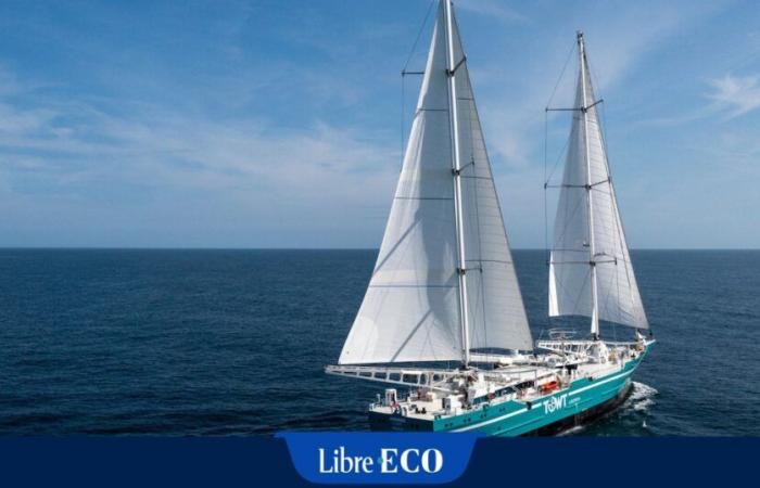 Transporter du café par voilier cargo, un choix bien plus écologique que le transport maritime classique, est désormais possible !