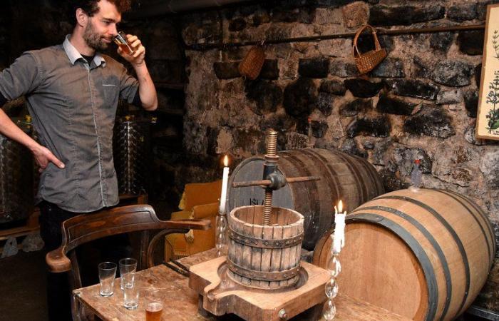 Originales, parfois sauvages, découvrez les bières de la brasserie Barrez en Aveyron