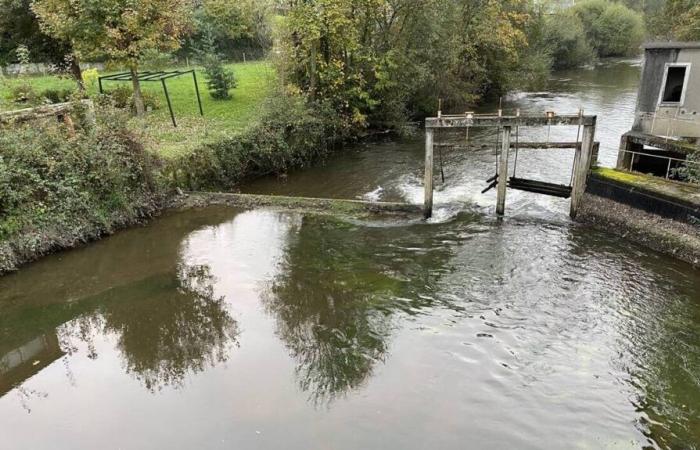 Environnement. Des travaux de restauration sont en cours sur la Sélune, à Saint-Hilaire-du-Harcouët