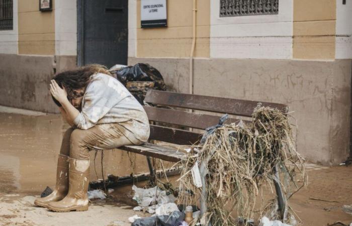 Les Belges se mobilisent pour aider les sinistrés en Espagne