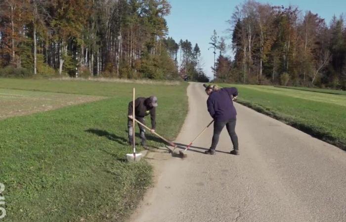 La fin de la tradition des tâches communales à Auboranges