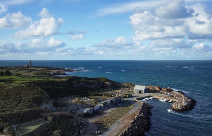 Deux restes de moutons retrouvés flottant dans ce port du Cotentin