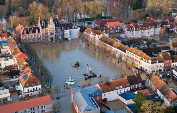 un an plus tard, des images et des résultats impressionnants