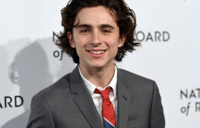 Timothée Chalamet perd face à ses sosies et un octogénaire accusé de tricherie au tirage au sort