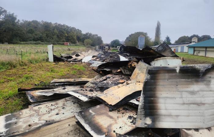 8 000 volailles périssent dans un incendie dans l’est du Loiret, une difficulté pour l’éleveur qui « luttait déjà pour survivre »