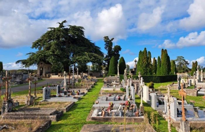 visitez ce cimetière qui accueille les morts depuis plus de 1 300 ans