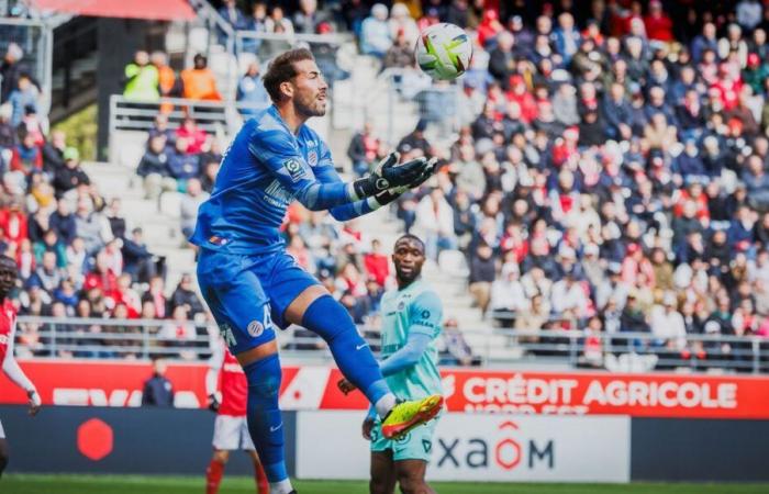 Montpellier se déplace au Havre pour quitter la dernière place du championnat