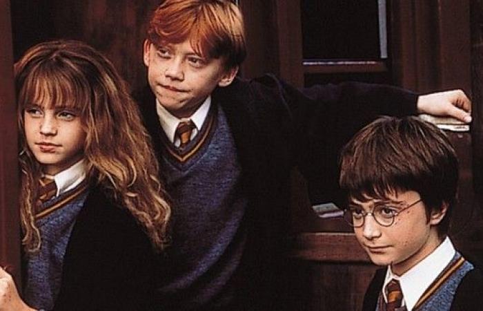 Nos idées pour faire de la nouvelle série Harry Potter un succès