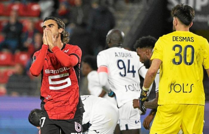 Au Stade Rennais, Jota pourrait devenir le nouveau chouchou du Roazhon Park